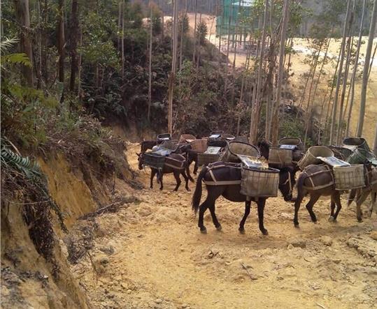 广东马帮山路运输