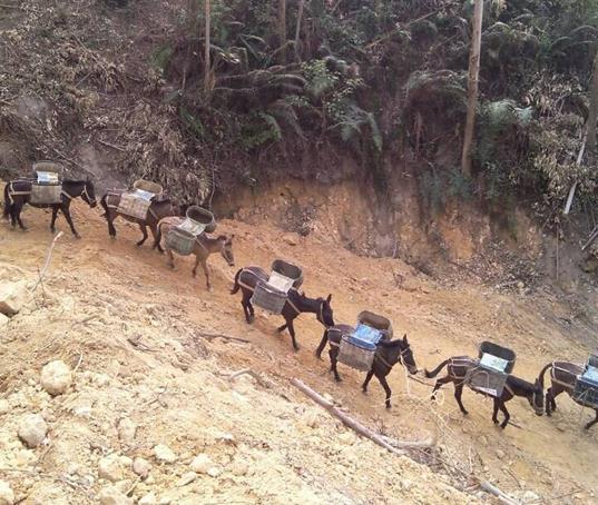 广东山路马帮运输