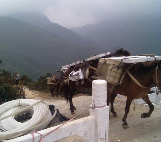 广东山区马帮运输