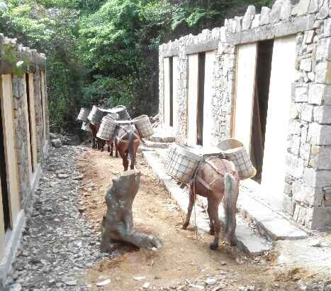 广东马队运输队