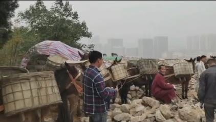 广东骡马山区运输