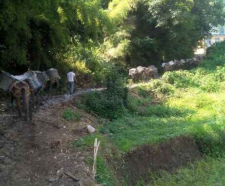 广东马帮运输队