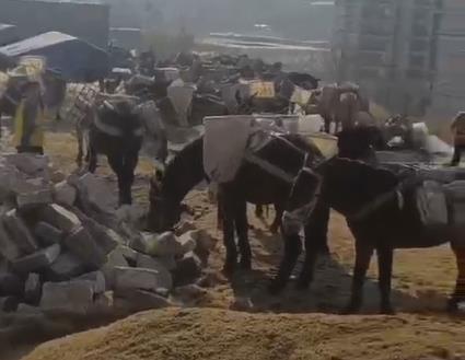 广东马队山路运输