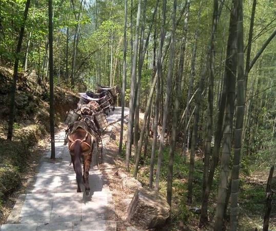 广东山路马队运输